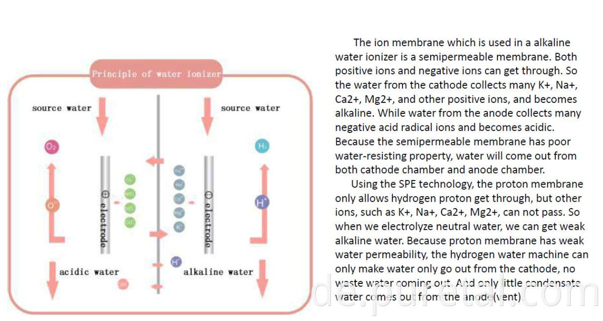 Kangen Wassermaschinen Alkalische Wasser Ionizerreiniger Japan